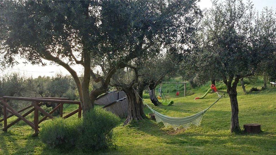 Fattoria Il Poggio Villa San Feliciano Bagian luar foto