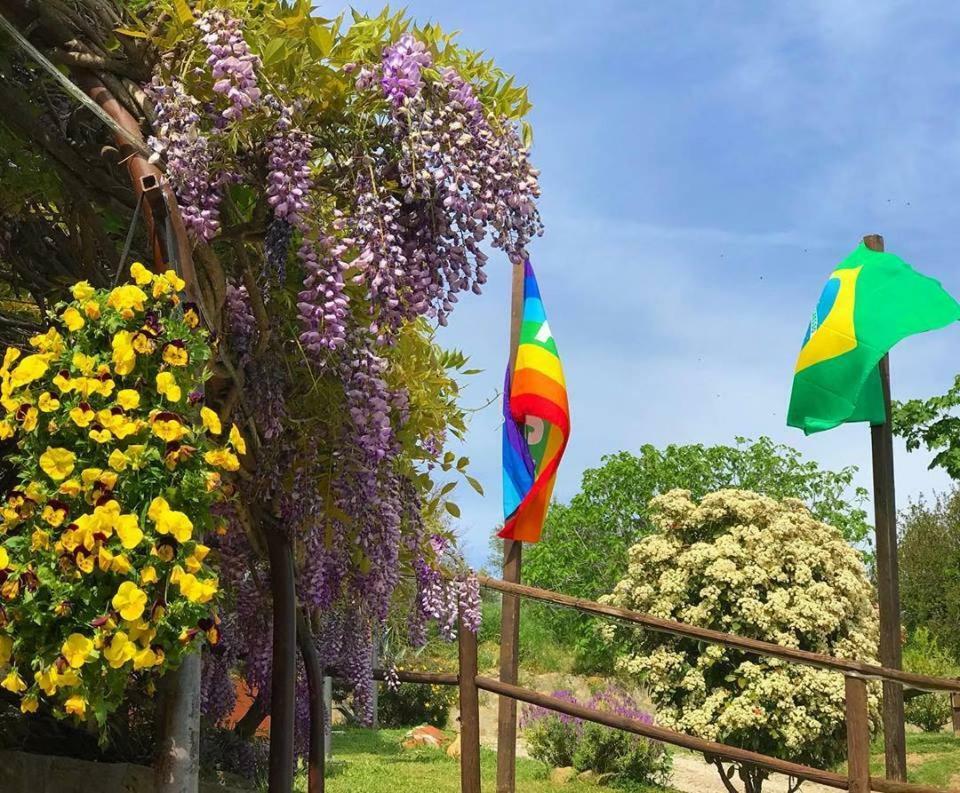 Fattoria Il Poggio Villa San Feliciano Bagian luar foto