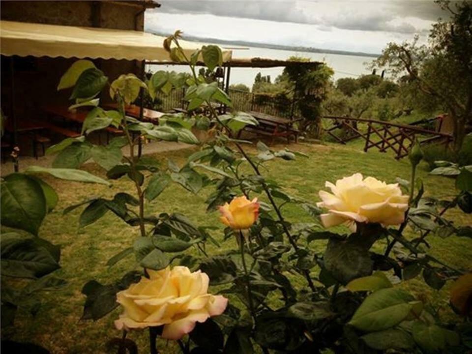 Fattoria Il Poggio Villa San Feliciano Bagian luar foto